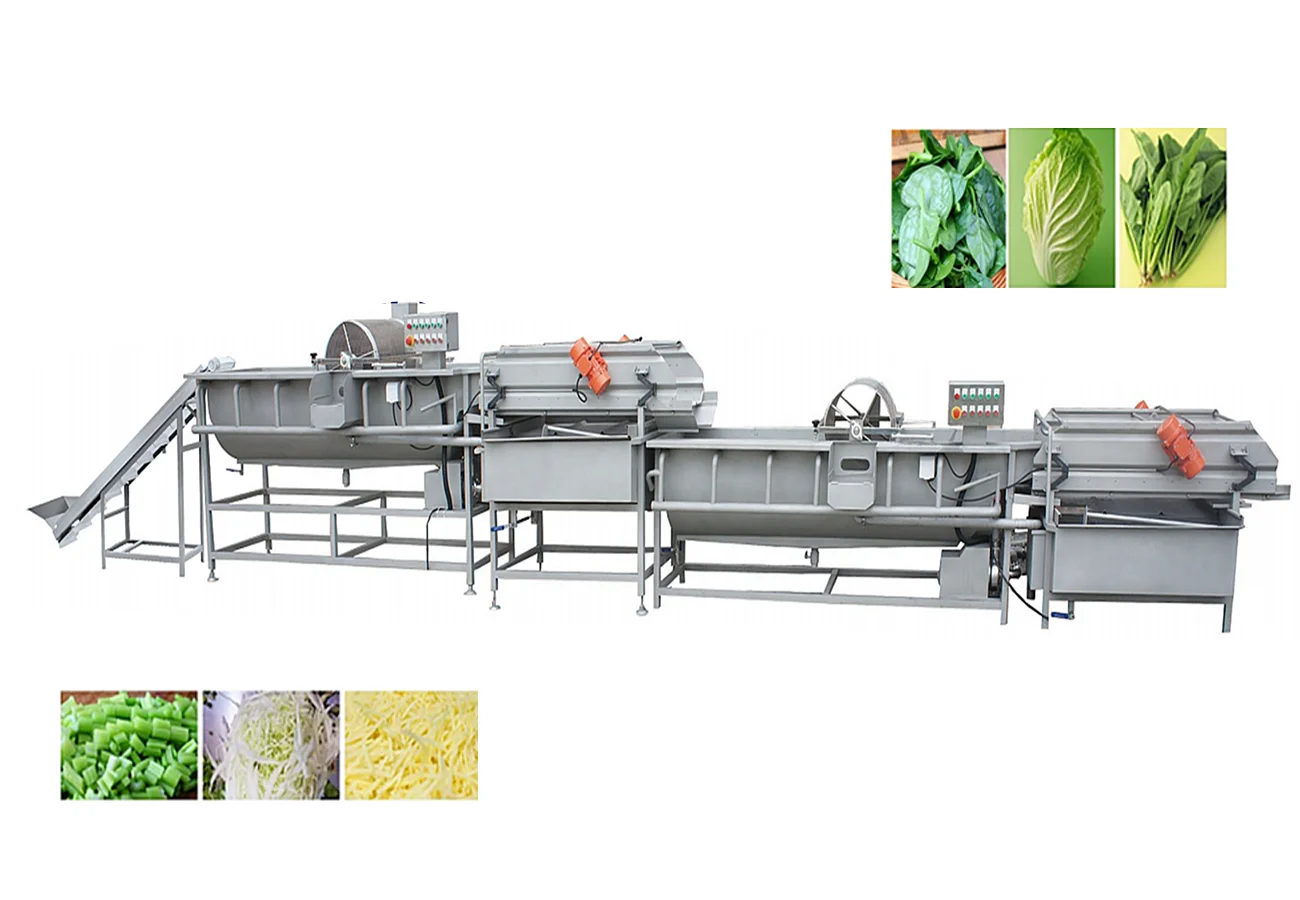 01a Leafy Vegetable, Root Vegetable & Pickled Produce Washing Machine - Image 1