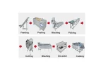 Vegetable & Fruit Washing Line - Image 2