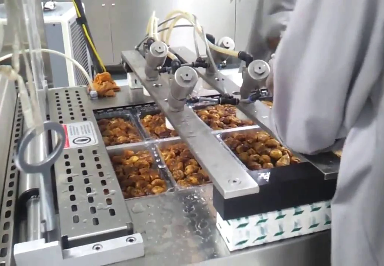 04 Dates & Dried Fruit Processing Line - Image 1
