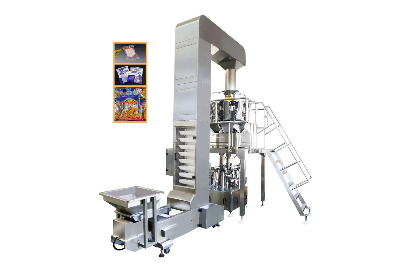 23a Fully Automatic Vacuum Packaging Line for Premade Pouches - Image 1