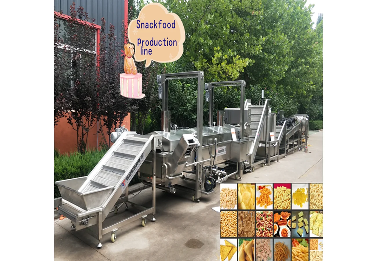 Continuous Belt Fryer Continuous Double Mesh Belt Fryer - Image 1