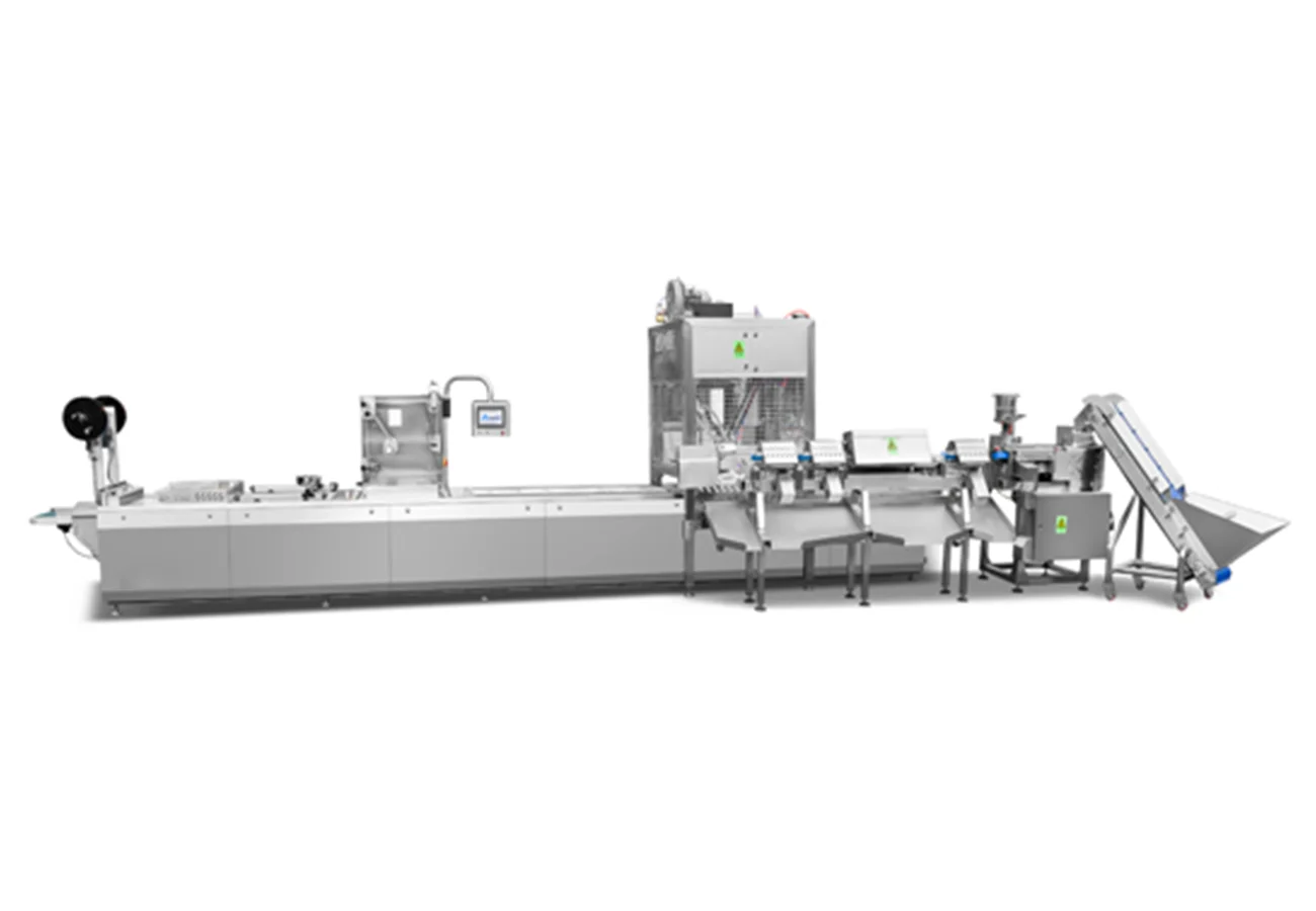 DLZ-520-620 Fully Automatic03 Hot Pot Ingredient Thermoforming Vacuum Packaging Machine — DLZ-520/560/620 - Image 1