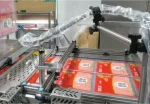 Double-Sided Thermoforming Vacuum Packaging Machine - DLZ-420/520 - Image 3